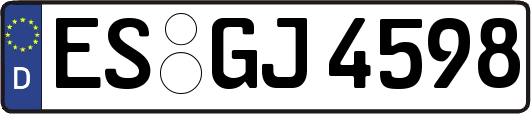 ES-GJ4598