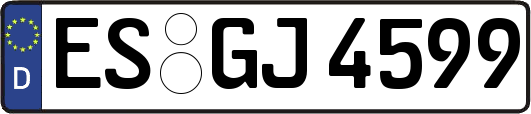 ES-GJ4599