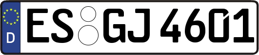 ES-GJ4601