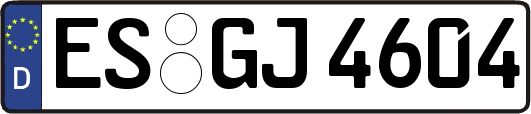 ES-GJ4604