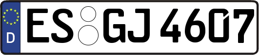 ES-GJ4607