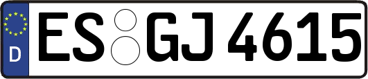 ES-GJ4615