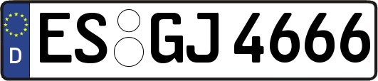 ES-GJ4666