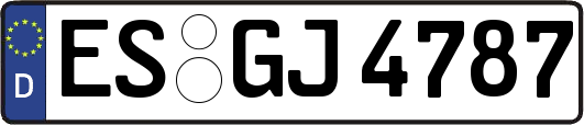 ES-GJ4787