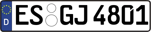 ES-GJ4801