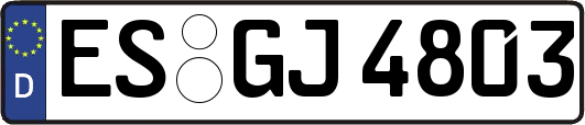 ES-GJ4803