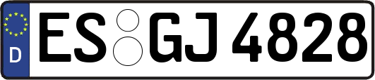 ES-GJ4828