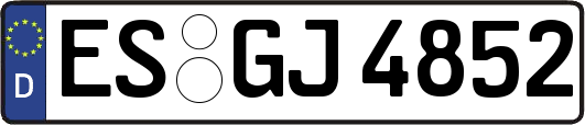 ES-GJ4852