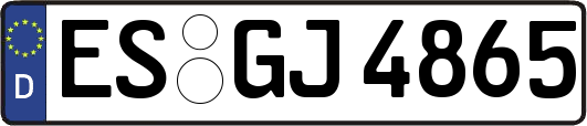 ES-GJ4865