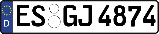 ES-GJ4874