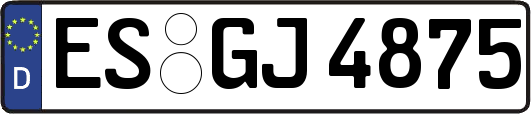ES-GJ4875