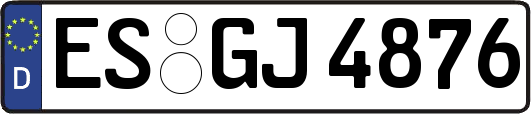 ES-GJ4876