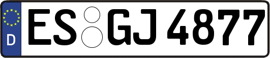 ES-GJ4877