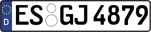 ES-GJ4879