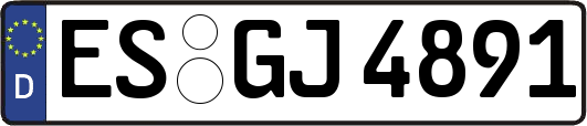 ES-GJ4891