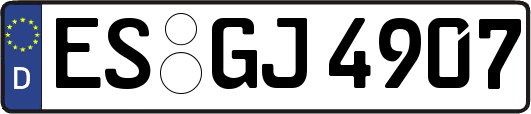 ES-GJ4907