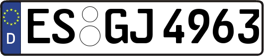 ES-GJ4963