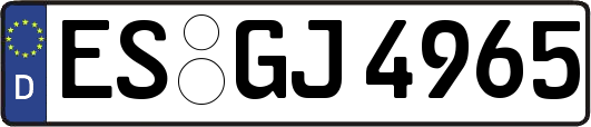 ES-GJ4965