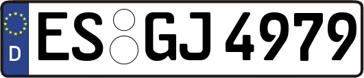 ES-GJ4979