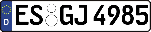 ES-GJ4985