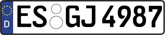 ES-GJ4987