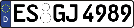 ES-GJ4989