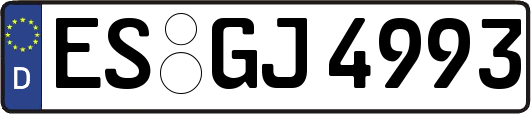 ES-GJ4993