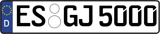 ES-GJ5000