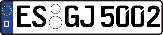 ES-GJ5002