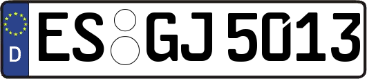 ES-GJ5013