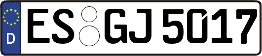 ES-GJ5017