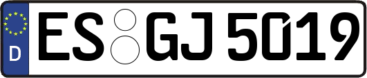 ES-GJ5019