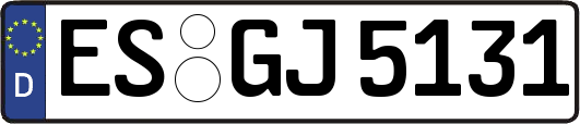 ES-GJ5131