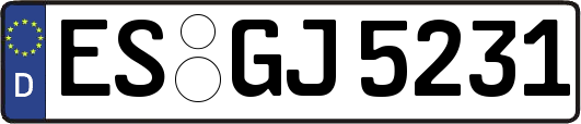 ES-GJ5231
