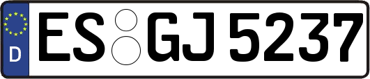 ES-GJ5237