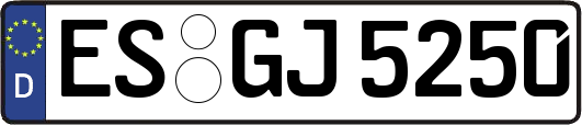 ES-GJ5250
