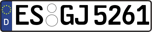 ES-GJ5261