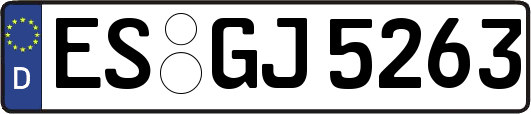 ES-GJ5263
