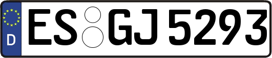 ES-GJ5293
