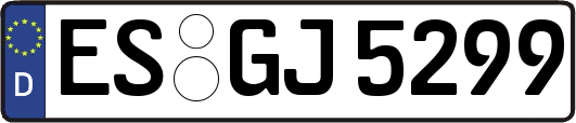 ES-GJ5299
