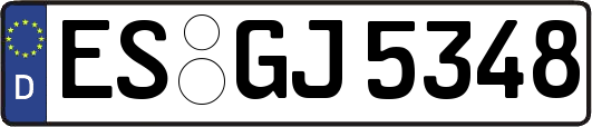 ES-GJ5348