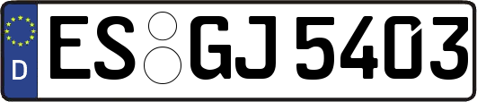 ES-GJ5403
