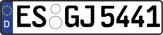 ES-GJ5441