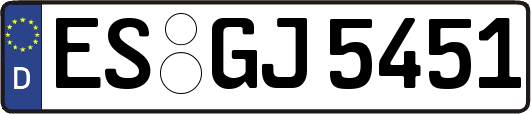 ES-GJ5451