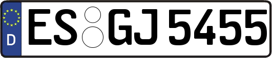 ES-GJ5455