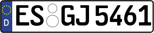 ES-GJ5461