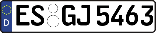ES-GJ5463