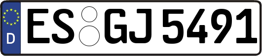 ES-GJ5491