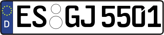 ES-GJ5501