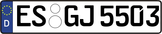 ES-GJ5503